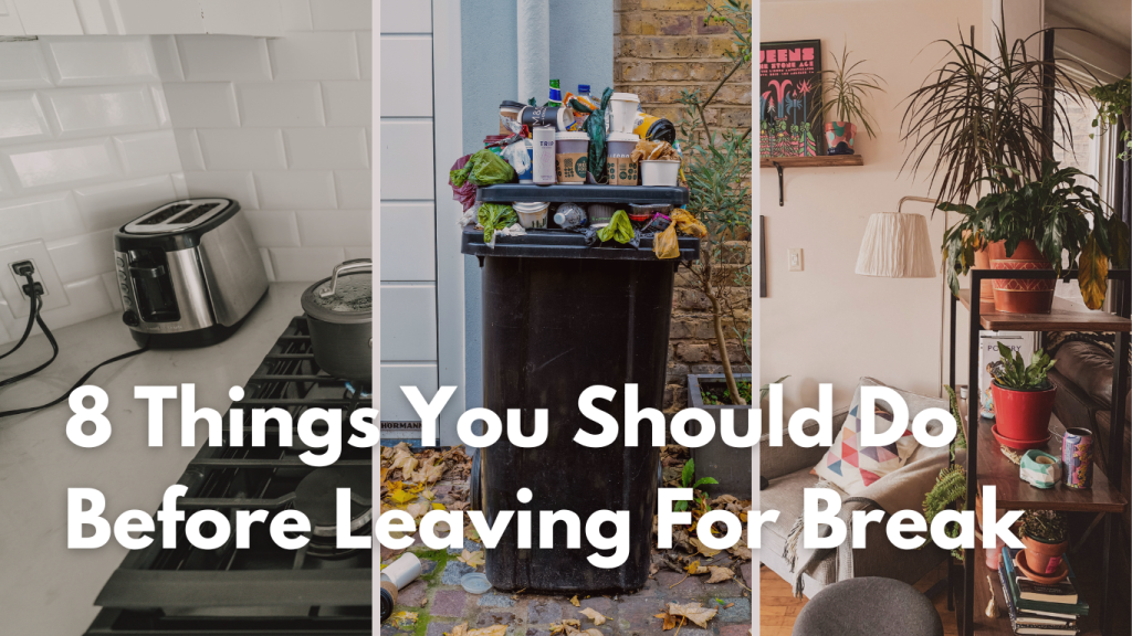 Photo collage of three vertical photos, on the left a photo of a silver and black toaster on a kitchen counter, second photo of a overfilled trash can outside, and the third photo of the corner of a living room with hanging vertical plants for Jackson Properties website